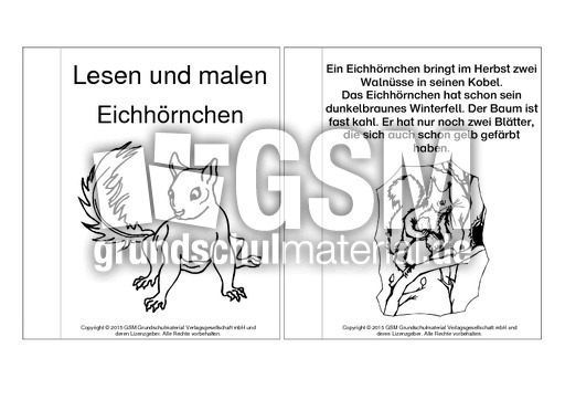 Mini-Buch-lesen-malen-Eichhörnchen-3.pdf